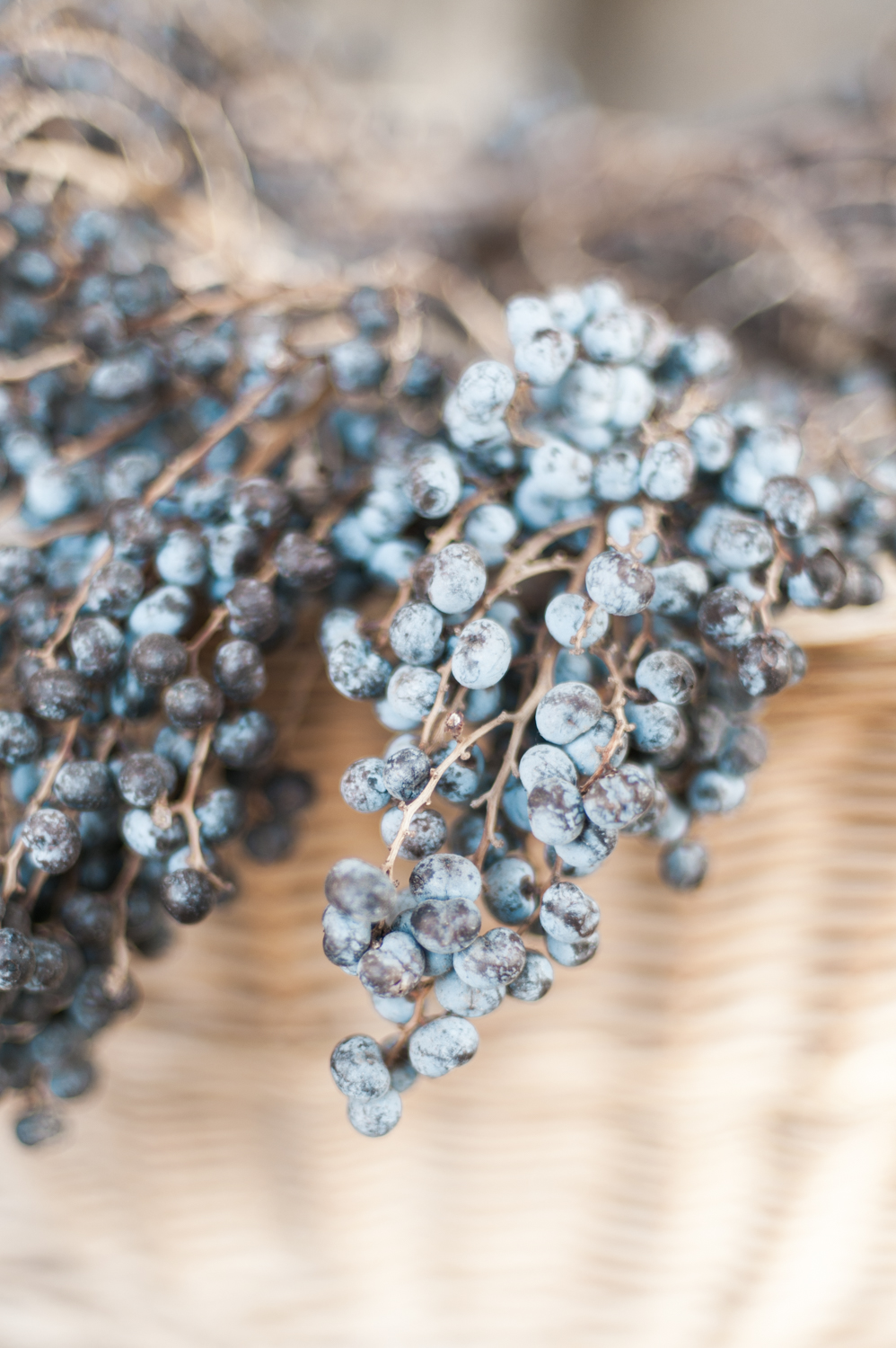 Grapes in basket captured on the Amalfi coast by a wedding photographer -8